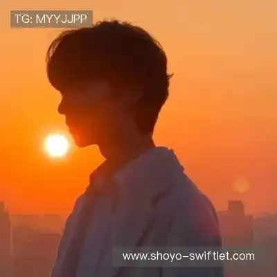孔铃媚